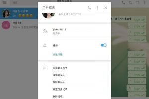 带演示：仿飞机版本聊天软件