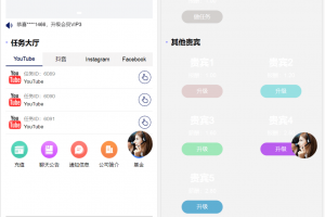 海外YouTube视频点赞刷单悬赏任务投资理财源码tiktok国际版刷单理财